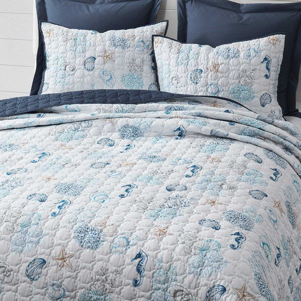 Wonderful Cotton Marine Life Print Shell Stitch Quilt Set - Ocean Lightweight Bedding